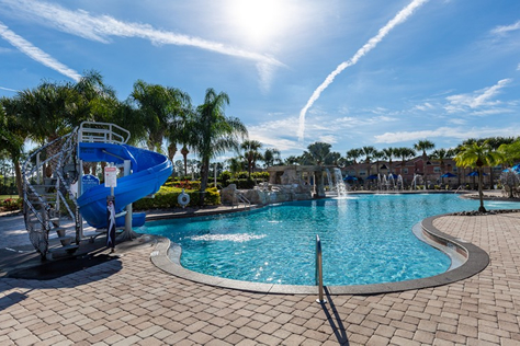 Paradise Palms